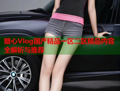 糖心Vlog国产精品一区二区精品内容全解析与推荐  第1张